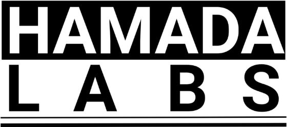 하마다랩스, '클라이머스 재팬'서 AI 모델 제작 플랫폼 '윈디플로' 공개 - 뉴스 썸네일 이미지