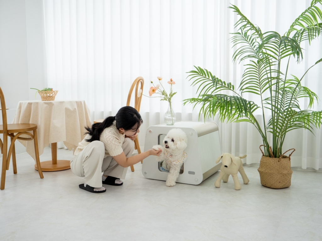 혼자 남겨진 강아지도 안심...'IoT 펫하우스' 케어포유, 팁스 선정 - 뉴스 썸네일 이미지