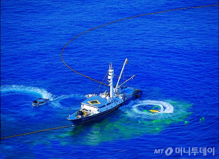 참치캔 다음은 이차전지?...'원양어선 1척 신화' 회사의 투자공식 - 뉴스 썸네일 이미지