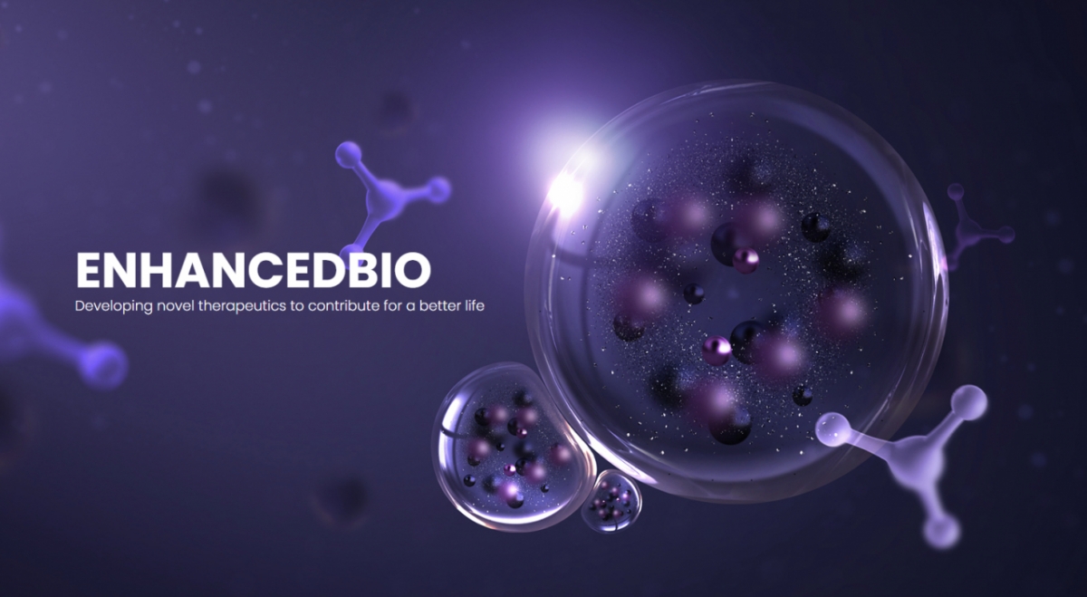 인핸스드바이오, LNP 플랫폼 기술이전 추진..."계약 가시화" - 뉴스 썸네일 이미지