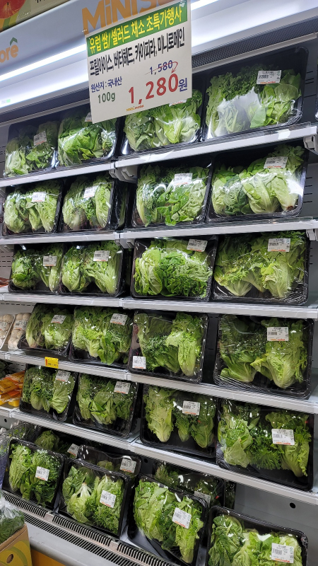 네토그린, 미니수마켓과 신선채소 직공급 협약 체결 - 뉴스 썸네일 이미지