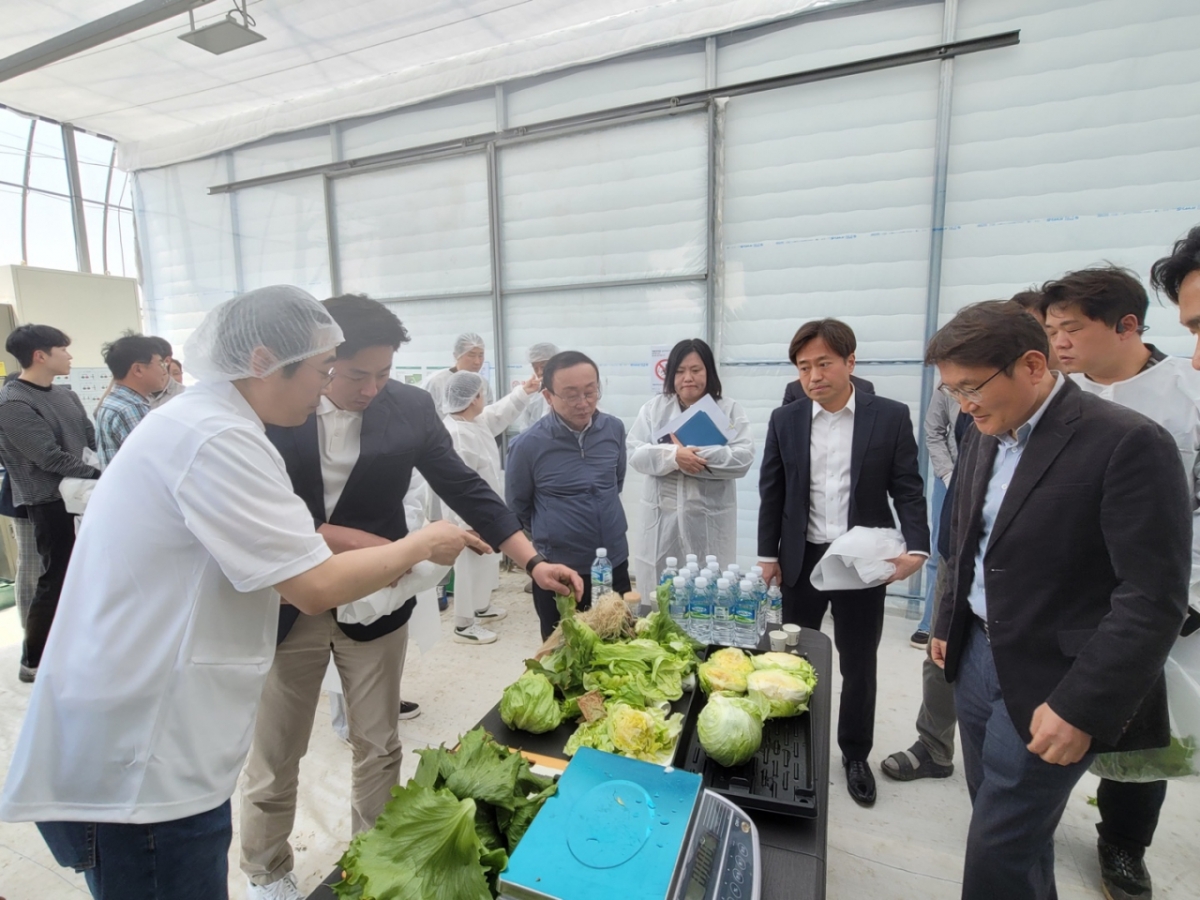 '애그테크' 스마트아크, 연천군 양상추 스마트팜 농가설명회 개최 - 뉴스 썸네일 이미지