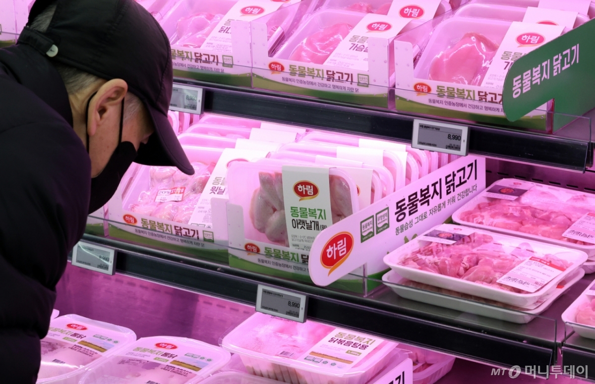 브라질 닭 수입금지에…마니커 상한가 등 육계주 동반 강세