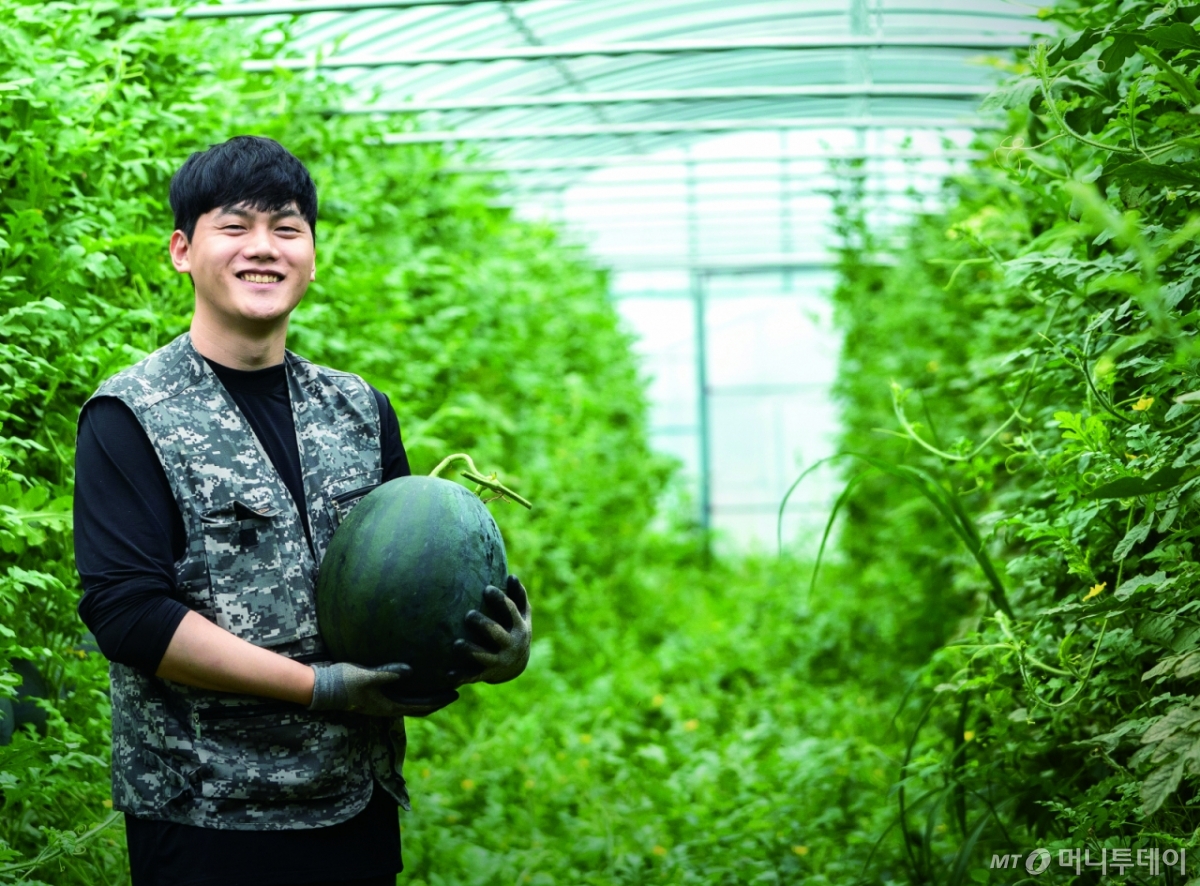 '끼'와 열정으로 뭉친 청년농...스마트 기술로 생산성 '쑥쑥' - 뉴스 썸네일 이미지