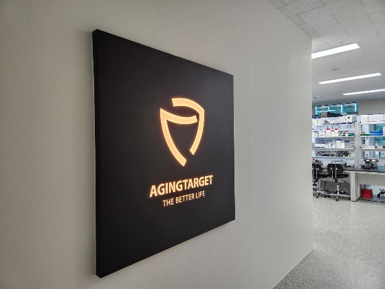 에이징타겟, '2025 IP나래 프로그램 지원사업' 선정 - 뉴스 썸네일 이미지