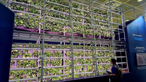 빌딩 옥상서 작물 키우고, AI 로봇이 수확...농사판 확 바뀐다 - 뉴스 썸네일 이미지