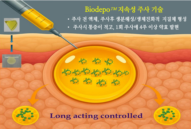 주사 한 번에 한 달 효과..아이엠디팜, 글로벌 특허·임상 속도 - 뉴스 썸네일 이미지