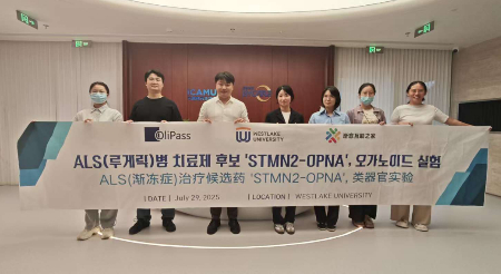 올리패스, 루게릭병 신약 물질 'STMN2-OPNA' 中 오가노이드 실험 참관