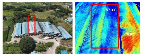 포엘, '복사냉각 페인트'로 축산업 폭염 피해·전력비 동시에 줄였다 - 뉴스 썸네일 이미지