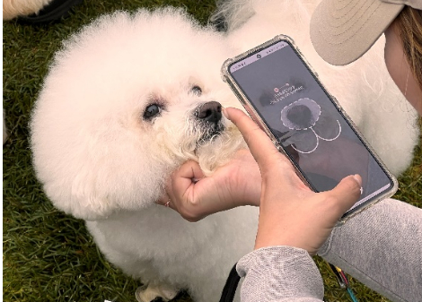 시리즈벤처스, 반려동물 데이터 플랫폼 '마중' 운영사에 시드 투자 - 뉴스 썸네일 이미지