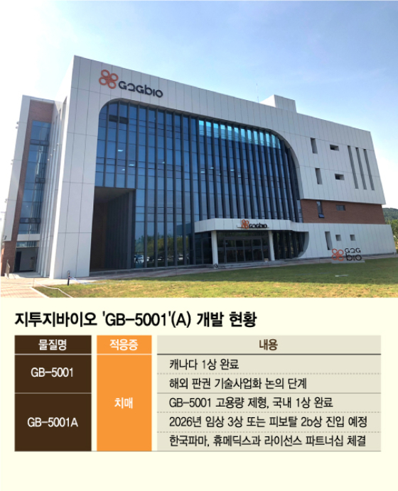 '빅파마 비만·당뇨 협업'에 주목 지투지바이오, 치매藥 상업화도 순항