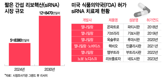 글로벌은 상용화, 한국은 규제 공백...발목 잡힌 siRNA 신약 - 뉴스 썸네일 이미지