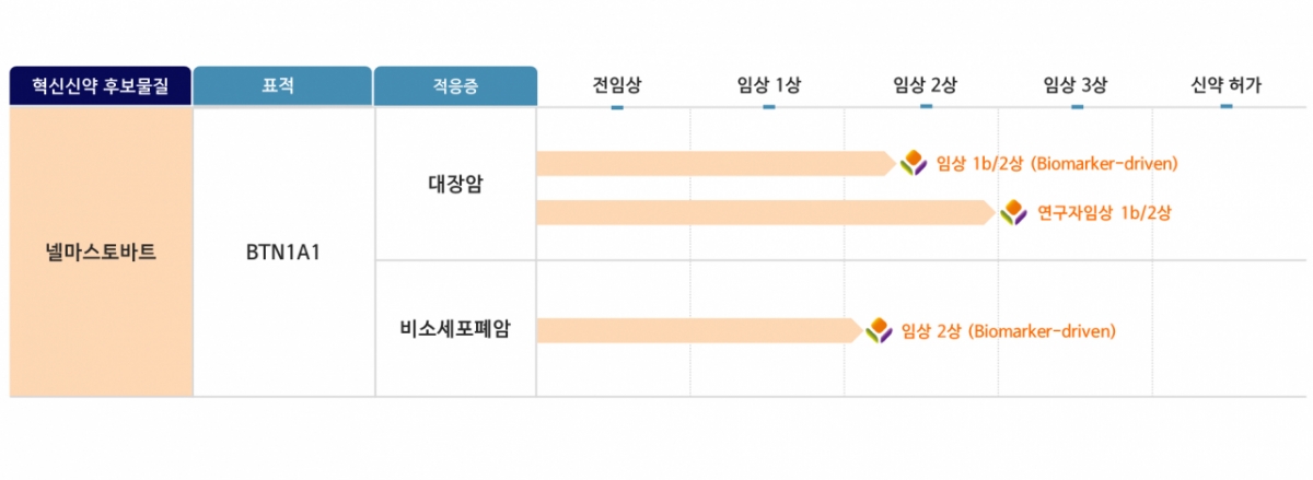 에스티큐브, 비소세포폐암 임상 2상 IND 접수…