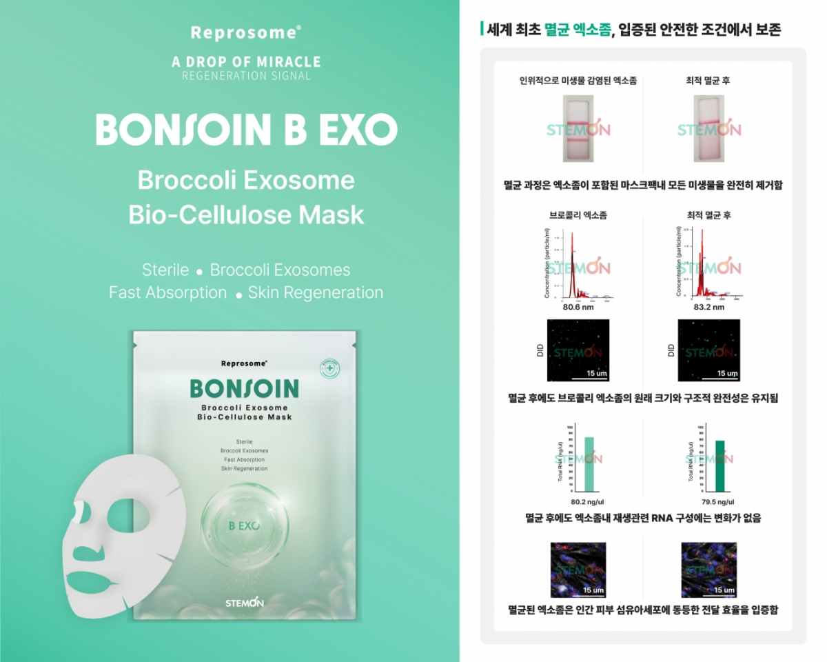 스템온, 멸균 엑소좀 바이오셀룰로스 마스크팩 출시 - 뉴스 썸네일 이미지
