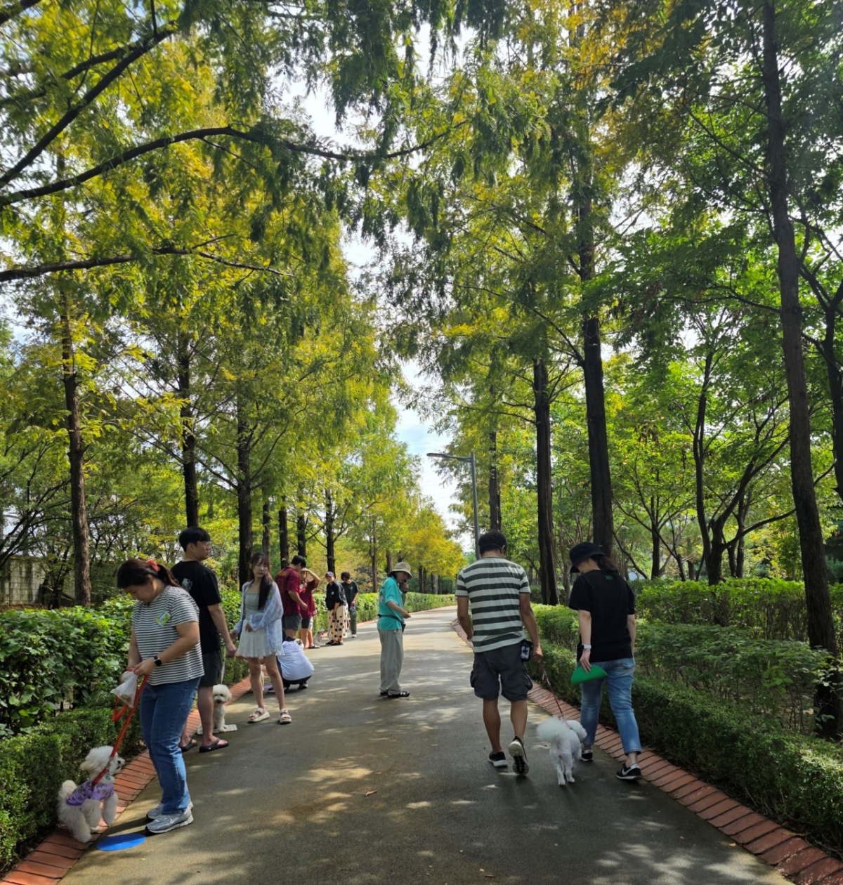 짖음·분리불안 걱정 끝! '브리딩'이 알려주는 반려견 행동 교정 - 뉴스 썸네일 이미지