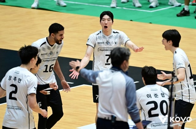 The Hyundai Capital team celebrated during the men's semifinal of the 2026 Yeosu NH Nonghyup Cup Professional Volleyball Tournament held at Jinnam Gymnasium in Yeosu, South Jeolla Province, on the 24th. /Photo=Provided by KOVO