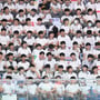 2번째 이미지