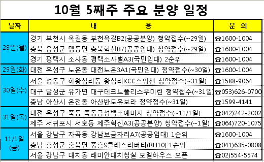 강남보금자리에 10년 공공임대 아파트 '시선집중' - 머니투데이