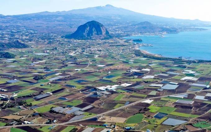 서울도 아닌데…국평 '12억' 제주의 강남, 어디길래 - 머니투데이