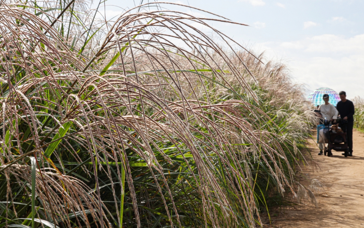 선선한 날씨에 나들이 차량 증가...서울→부산 5시간50분 - 뉴스 썸네일 이미지
