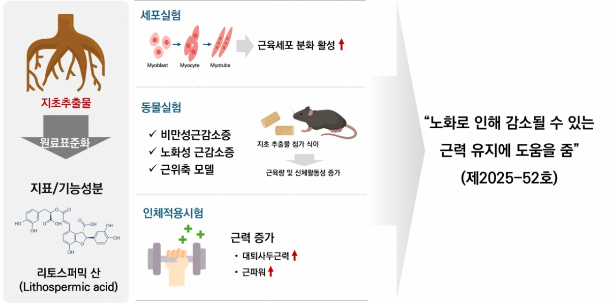 식품연이 발굴한 천연물, 국내 첫 '건강기능식품 원료' 공인 - 뉴스 썸네일 이미지