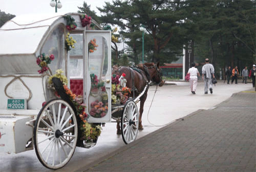 ↑금강산온천과 온정각을 오가는 꽃마차가 금강산온천 앞에 서 있다.