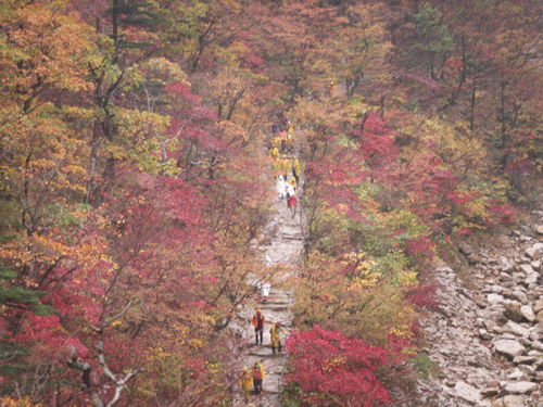 ↑금강산 관광객들이 산을 내려오고 있다.