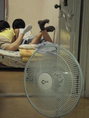↑황씨네는 한여름에도 에어컨을 쓰지 않는다.
대신 방마다 선풍기를 놓았다.