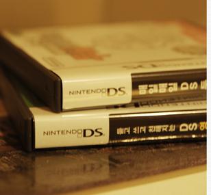 ▲ 닌텐도DS용 게임팩