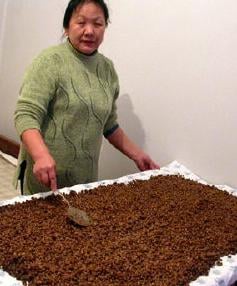 ↑작업장에서 청국장 띄우는 고려인.
ⓒ동북아평화연대