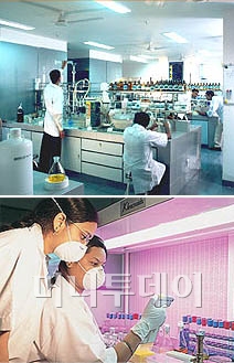 ↑ 란벅시 해외제조공장. 왼쪽 위부터 시계방향으로 미국, 루마니아, 말레이시아, 베트남, 중국, 아일랜드.