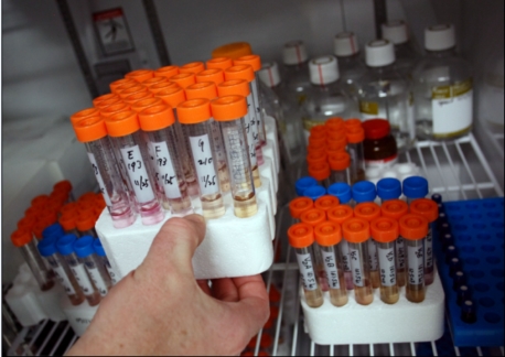 ↑ 가스화-발효-분리의 3단계 공정을 거쳐 생산된 바이오에탄올 샘플.