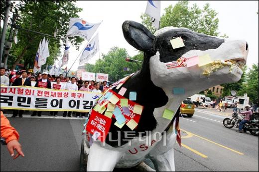 ↑가두행진에 참가한 거품 문 소.