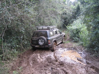 ↑박희선 과장을 태운 지프차가 밀림 한가운데로 난 흙길에 멈춰서 있다.