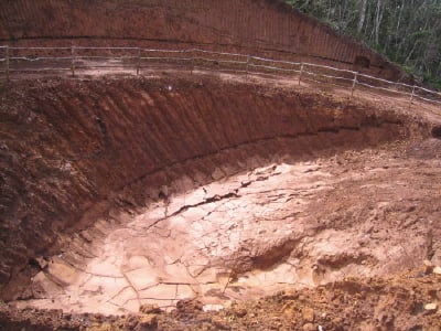 ↑니켈과 코발트를 함유하고 있는 라테라이트 토양