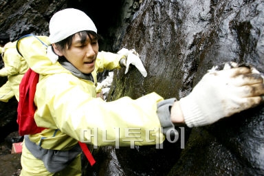 ↑ 태안에서 기름띠 제거 작업을 하고 있는 가수 김장훈.