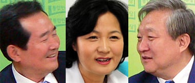 ▲왼쪽부터 정세균 의원, 추미애 의원, 정대철 고문.