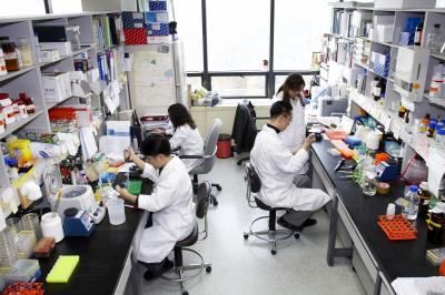 ↑ 임상실험을 하고 있는 서울대 임상의학연구소 연구원들.