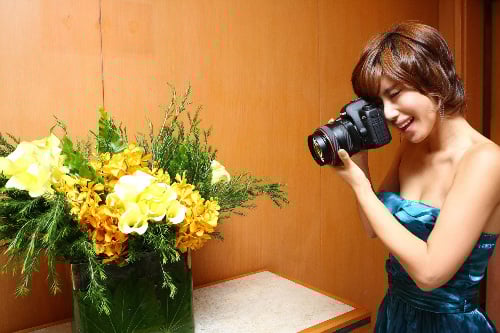 ↑캐논 EOS 5D마크II