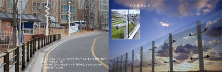 ↑ 휀스(왼쪽·오이코스코리아)와 방음벽(퓨어텍인터내셔날) ⓒ서울시