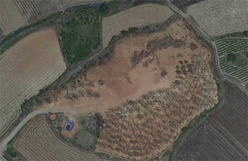 ↑ 장자연씨의 유골이 뿌려진 장씨 오빠의 소유의 토지 ⓒ 출처 - 다음지도