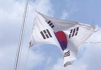 ↑찢겨진 태극기.