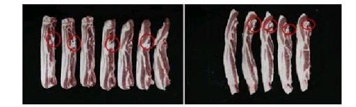 ▲삼겹살(좌)과 갈비살이 포함된 앞다리살(우):뼈의 부착 위치가 다름