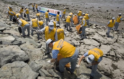 ↑르노삼성차 부산공장 임직원들과 강서구청 공무원들이 지난 8일 부산시 신호동 일대에서 환경정화 활동을 펼치고 있다.