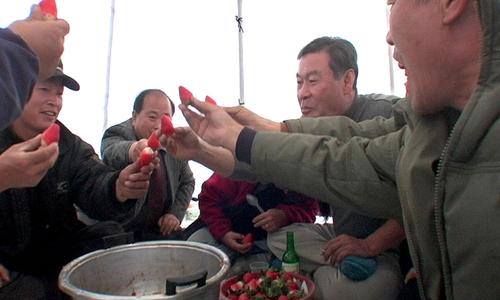 ↑ 다큐멘터리 영화 '농민가'의 한 장면