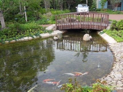↑토요타 츠츠미 공장 안에 있는 연못