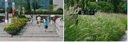 ↑ 국립중앙박물관 ⓒ서울시