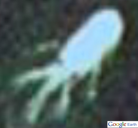 ↑'네시'로 추정되는 구글 어스 이미지. ⓒ구글 어스 캡처