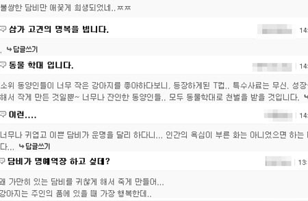 ↑담비 사망 관련 기사의 네티즌 댓글