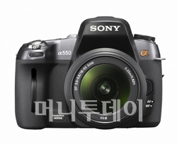 ↑소니 알파550
